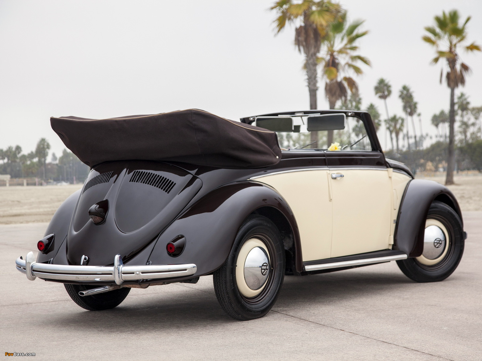 Volkswagen Käfer Karmann Cabriolet (Typ 15) 1949–53 images (1600 x 1200)