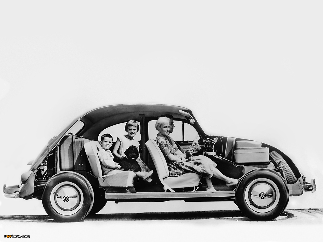 Volkswagen Beetle 1953–57 photos (1280 x 960)