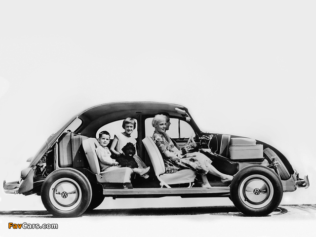 Volkswagen Beetle 1953–57 photos (640 x 480)