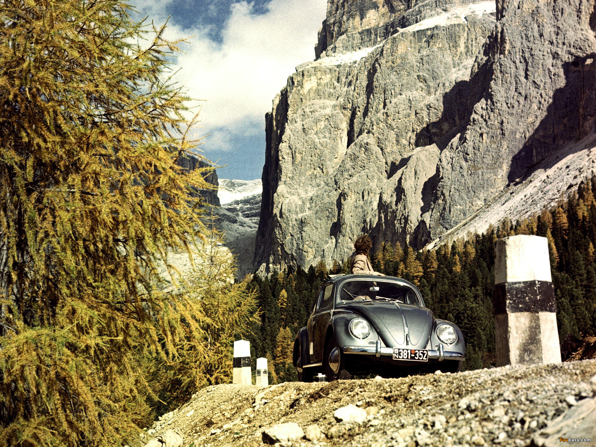 Volkswagen Käfer 1953–57 photos (1920 x 1440)