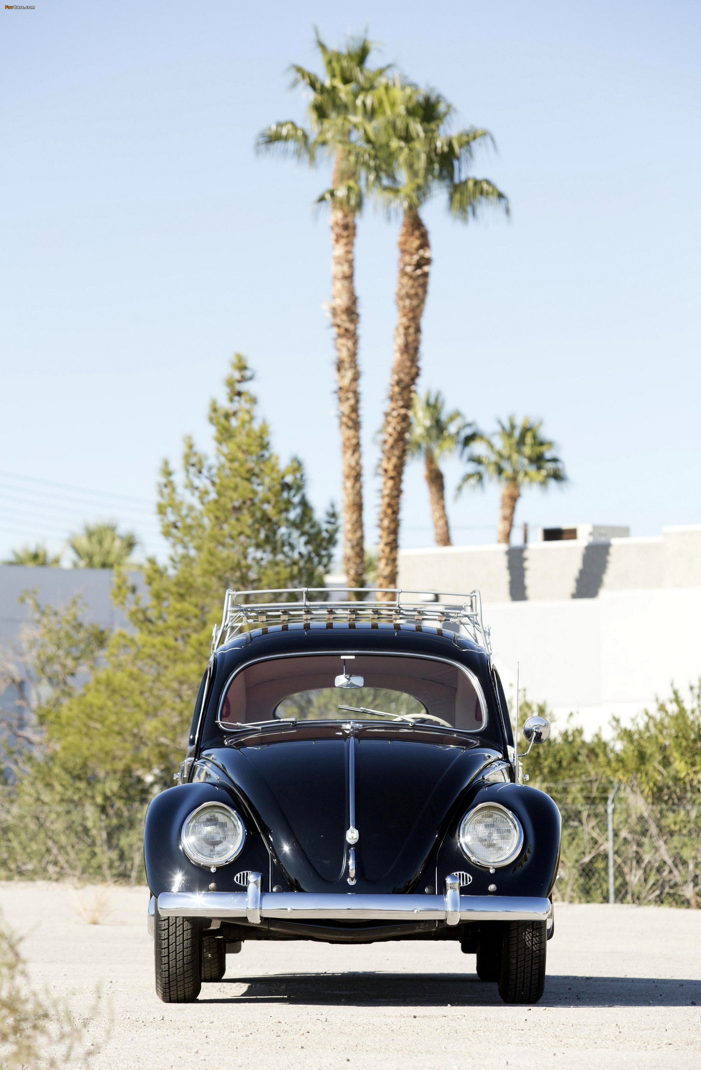 Volkswagen Beetle North America 1954 images (2360 x 3600)