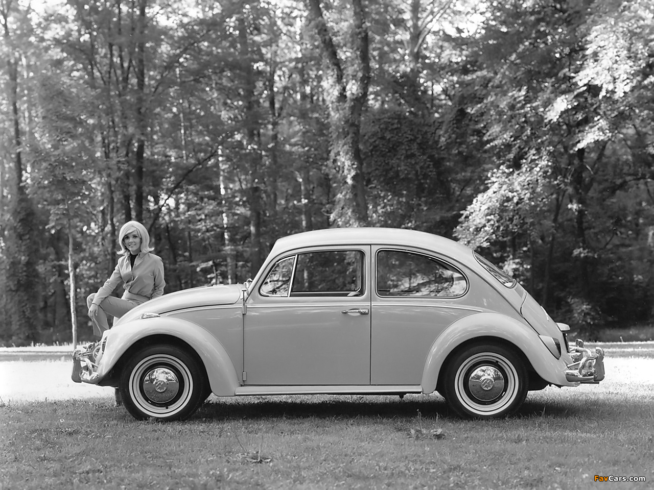 Volkswagen Beetle 1962–68 images (1280 x 960)