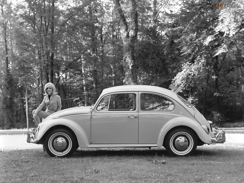 Volkswagen Beetle 1962–68 images (1024 x 768)
