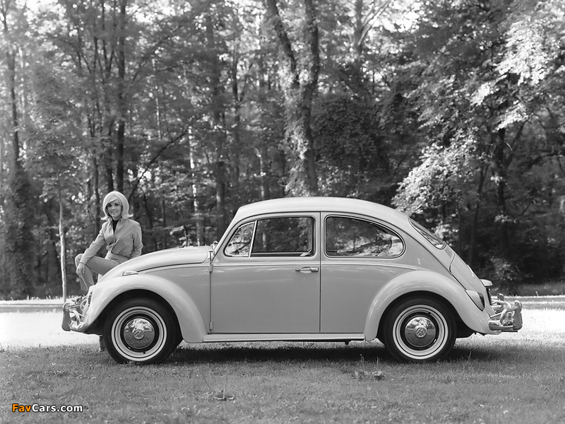 Volkswagen Beetle 1962–68 images (800 x 600)