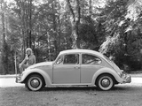 Volkswagen Beetle 1962–68 images