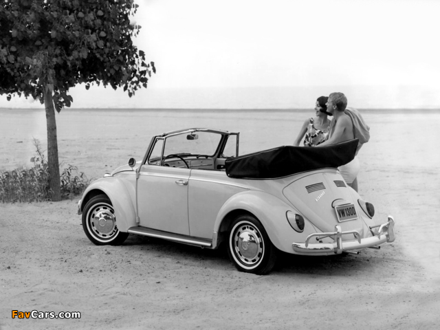 Volkswagen Beetle Convertible (Type 1) 1962–68 photos (640 x 480)