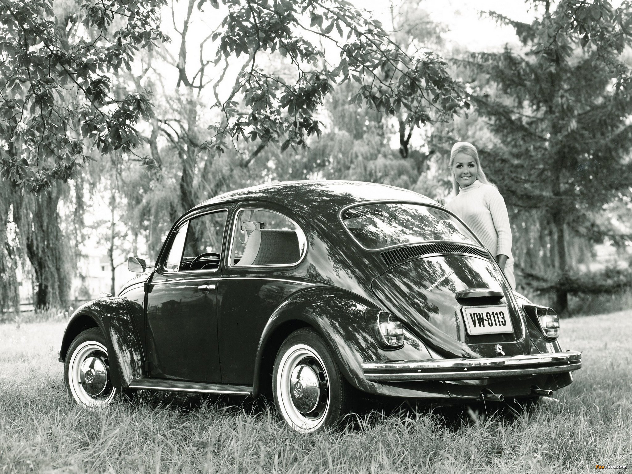 Volkswagen Beetle 1962–68 photos (2048 x 1536)