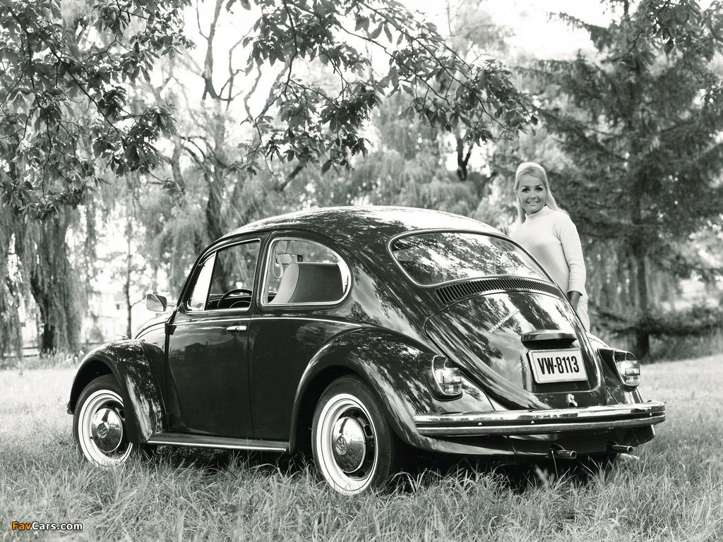 Volkswagen Beetle 1962–68 photos (1024 x 768)