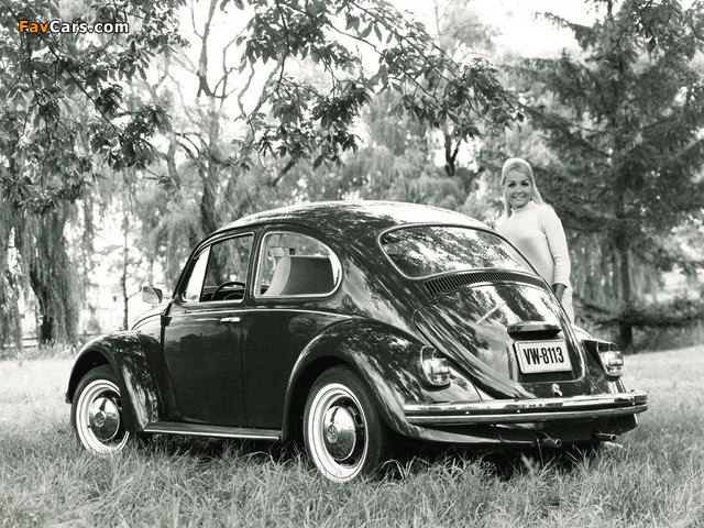 Volkswagen Beetle 1962–68 photos (640 x 480)