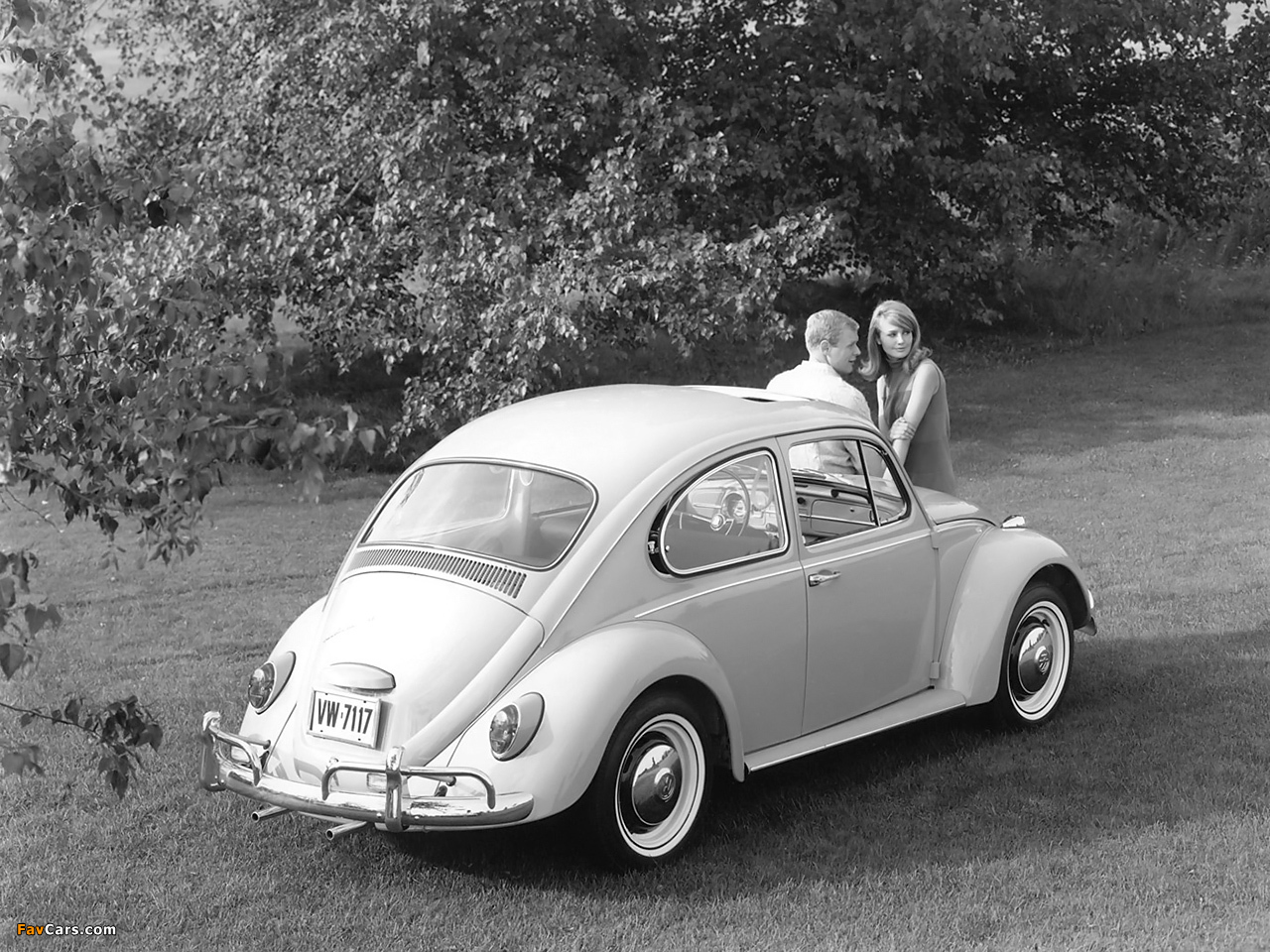 Volkswagen Beetle 1962–68 photos (1280 x 960)
