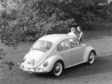 Volkswagen Beetle 1962–68 photos