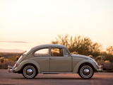 Volkswagen Beetle North America 1965 images