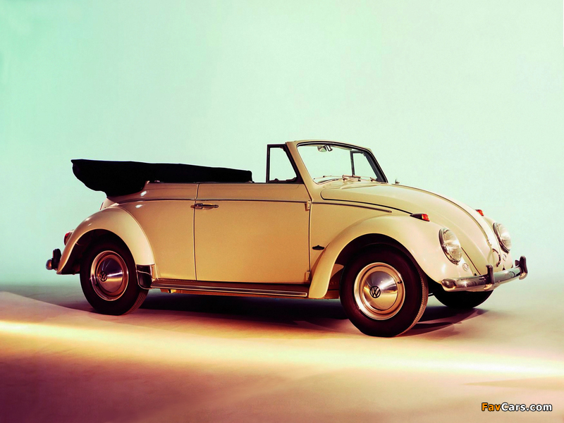 Volkswagen Käfer 1300 Cabriolet 1965–66 photos (800 x 600)