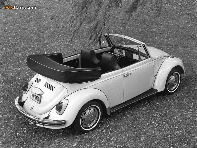 Volkswagen Beetle Convertible 1968–72 images (640 x 480)