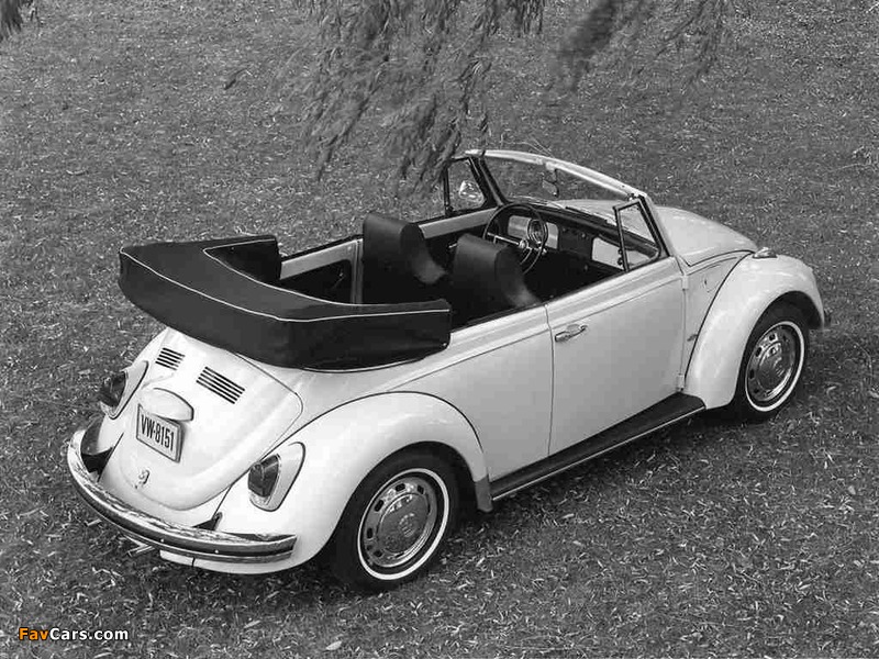 Volkswagen Beetle Convertible 1968–72 images (800 x 600)
