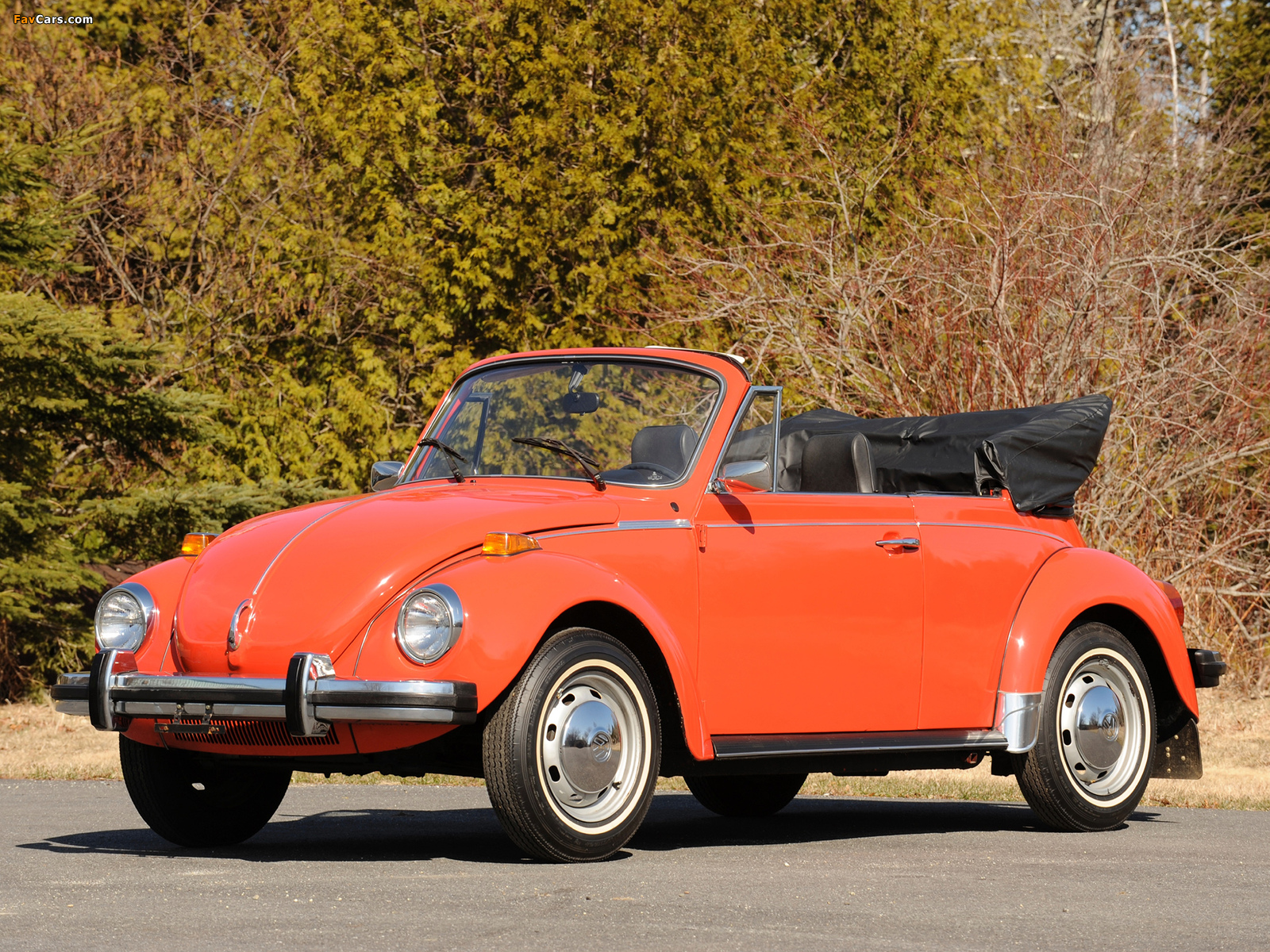 Volkswagen Beetle Convertible 1972 pictures (1600 x 1200)
