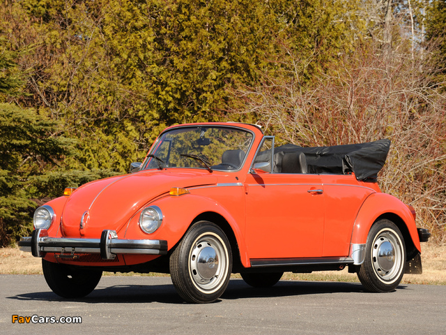 Volkswagen Beetle Convertible 1972 pictures (640 x 480)