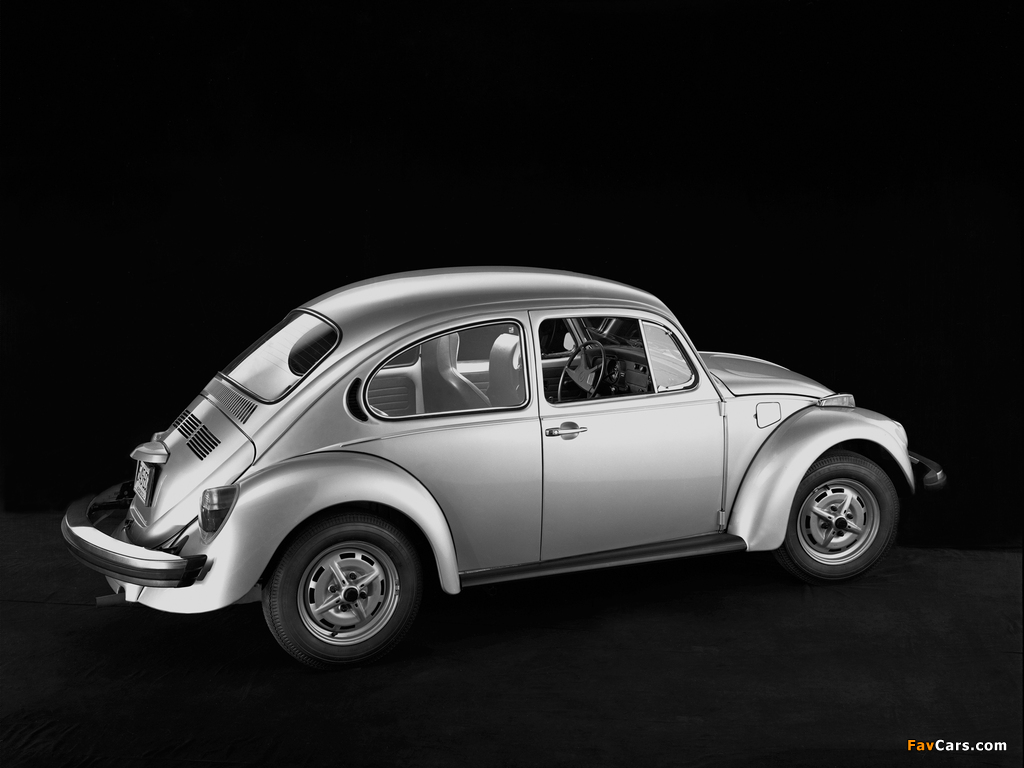 Volkswagen Beetle 1976 pictures (1024 x 768)