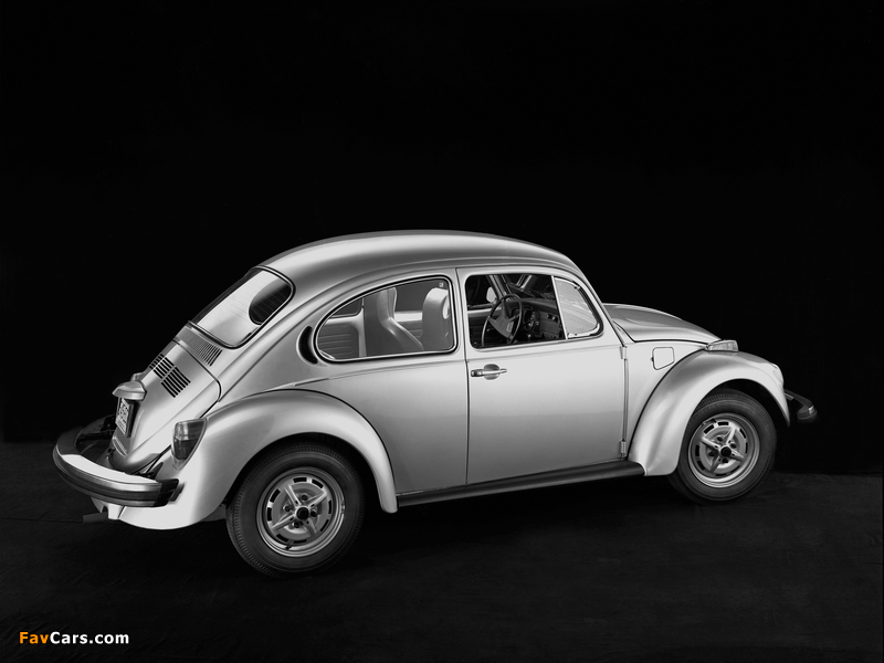 Volkswagen Beetle 1976 pictures (800 x 600)