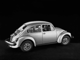 Volkswagen Beetle 1976 pictures