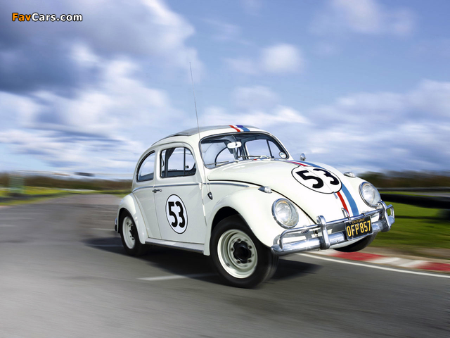 Volkswagen Beetle Herbie 1980 pictures (640 x 480)