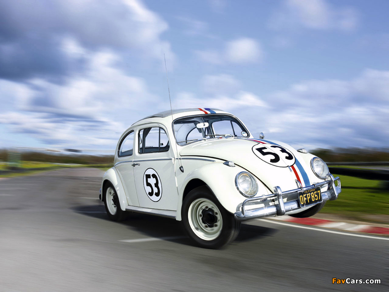 Volkswagen Beetle Herbie 1980 pictures (800 x 600)