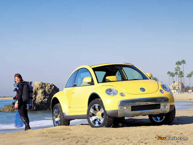 Volkswagen New Beetle Dune Concept 2000 images (640 x 480)