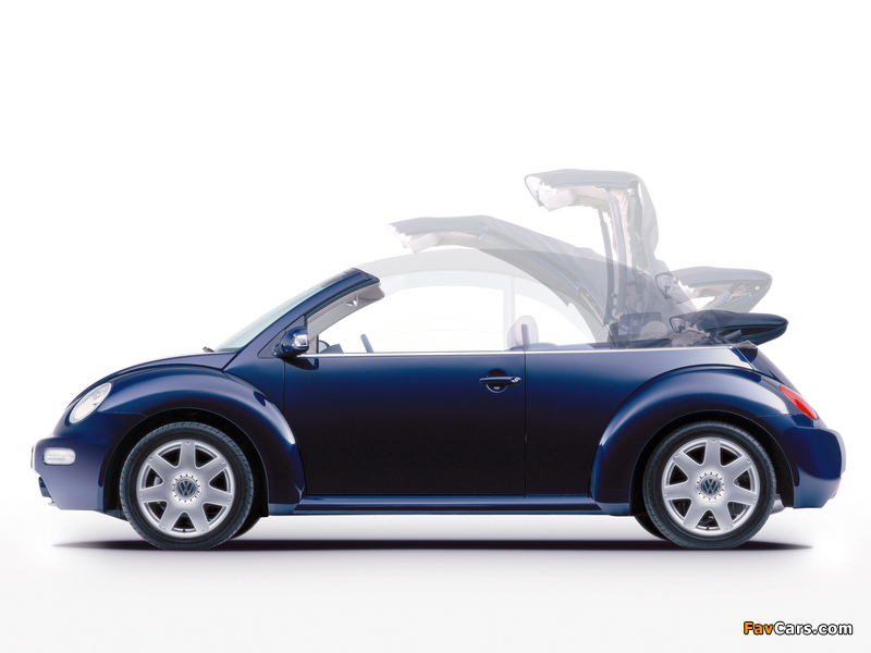 Volkswagen New Beetle Cabrio 2000–05 photos (800 x 600)