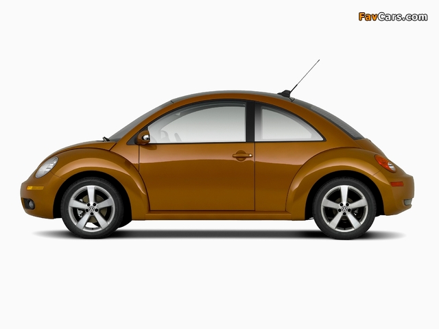 Volkswagen New Beetle Red Rock Edition 2010 images (640 x 480)