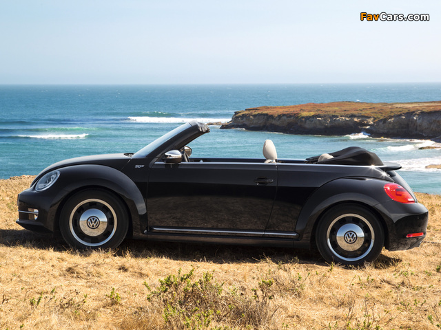 Volkswagen Beetle Cabrio 50s Edition 2012 images (640 x 480)