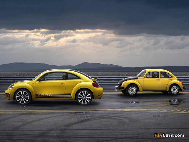 Volkswagen Beetle / Käfer photos (640 x 480)