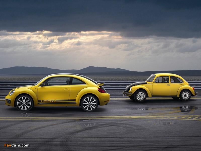 Volkswagen Beetle / Käfer photos (800 x 600)