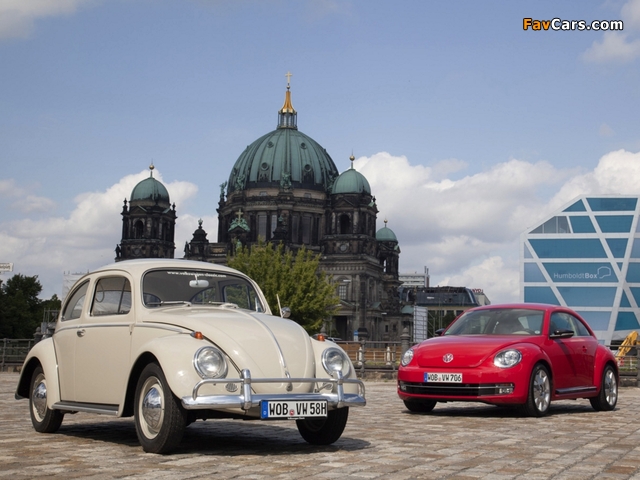 Volkswagen Beetle / Käfer pictures (640 x 480)