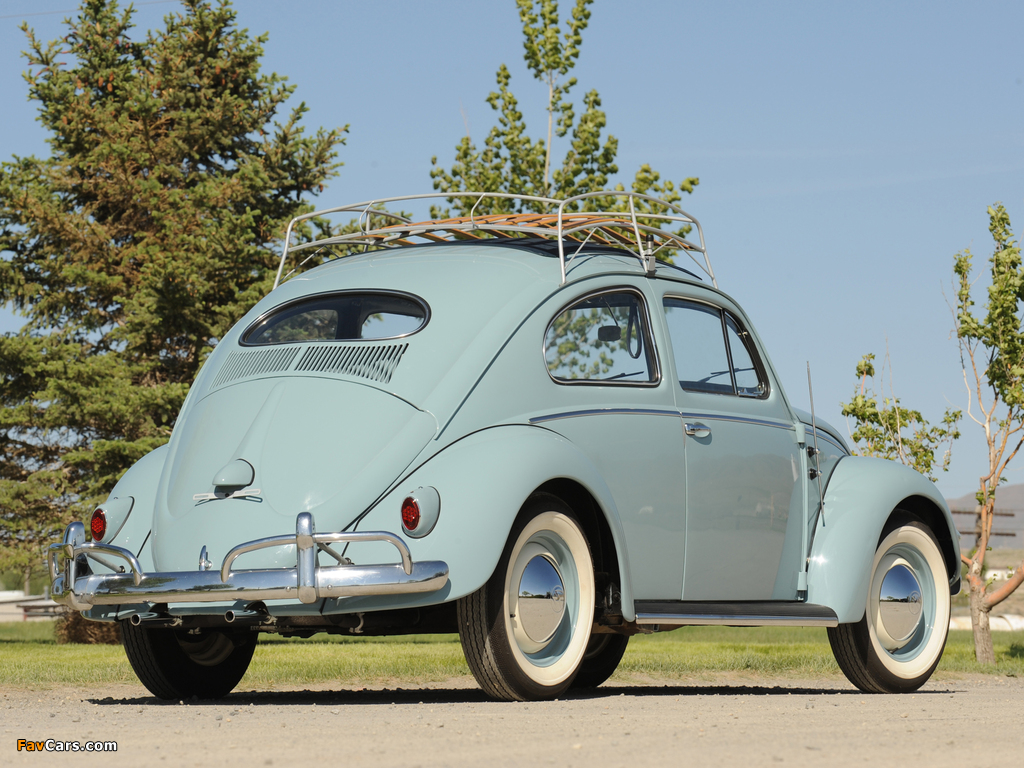 Volkswagen Beetle 1953–57 wallpapers (1024 x 768)