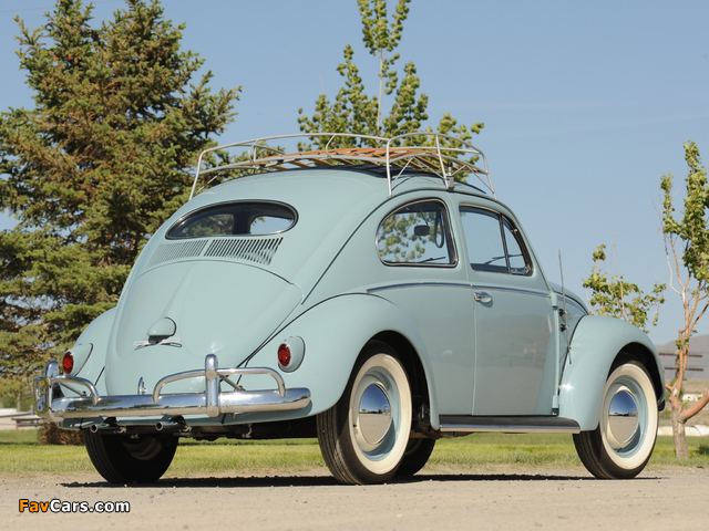 Volkswagen Beetle 1953–57 wallpapers (640 x 480)