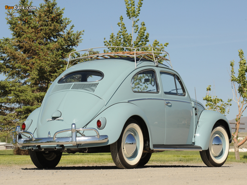 Volkswagen Beetle 1953–57 wallpapers (800 x 600)