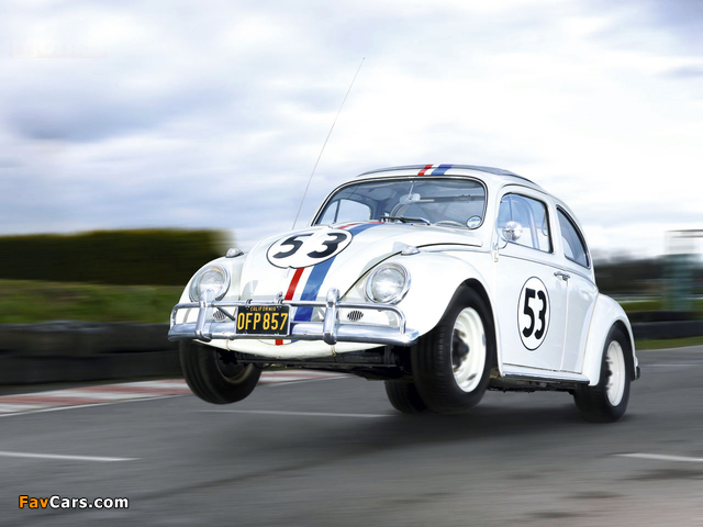 Volkswagen Beetle Herbie 1980 wallpapers (640 x 480)
