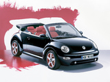 Volkswagen New Beetle Dark Flint 2005 wallpapers