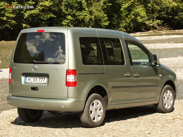 Volkswagen Caddy Life (Type 2K) 2004–10 images (640 x 480)