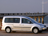 Volkswagen Caddy Maxi Life ZA-spec (Type 2K) 2007–10 photos