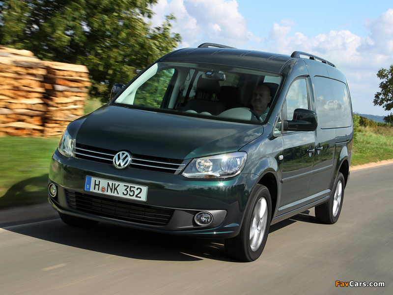 Volkswagen Caddy Maxi (Type 2K) 2010 images (800 x 600)