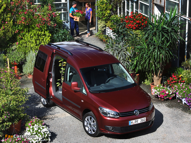 Volkswagen Caddy (Type 2K) 2010 images (640 x 480)