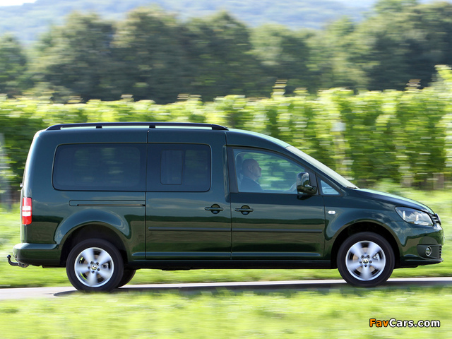 Volkswagen Caddy Maxi (Type 2K) 2010 images (640 x 480)