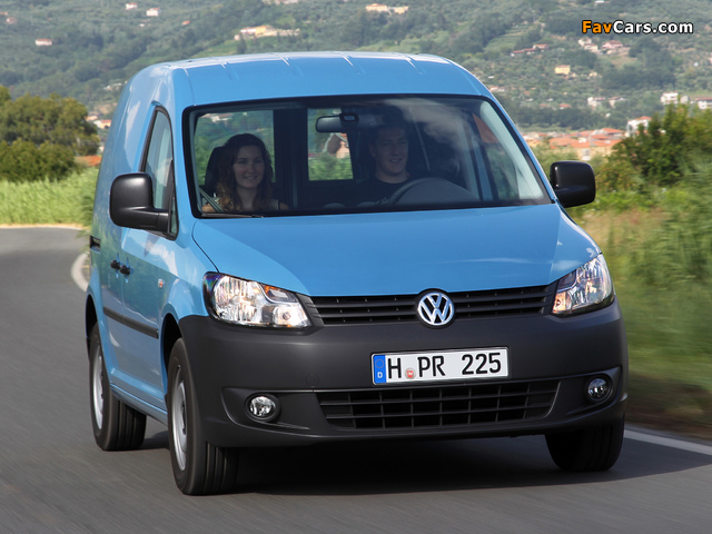 Volkswagen Caddy Kasten (Type 2K) 2010 pictures (640 x 480)