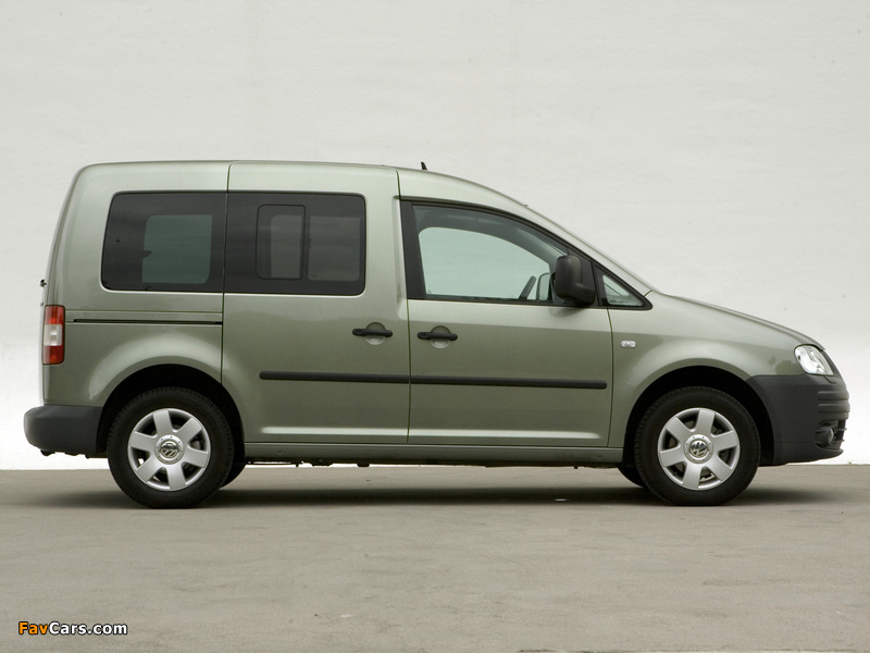 Volkswagen Caddy Life (Type 2K) 2004–10 wallpapers (800 x 600)