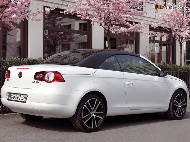 Images of Volkswagen Eos White Night 2008 (640 x 480)