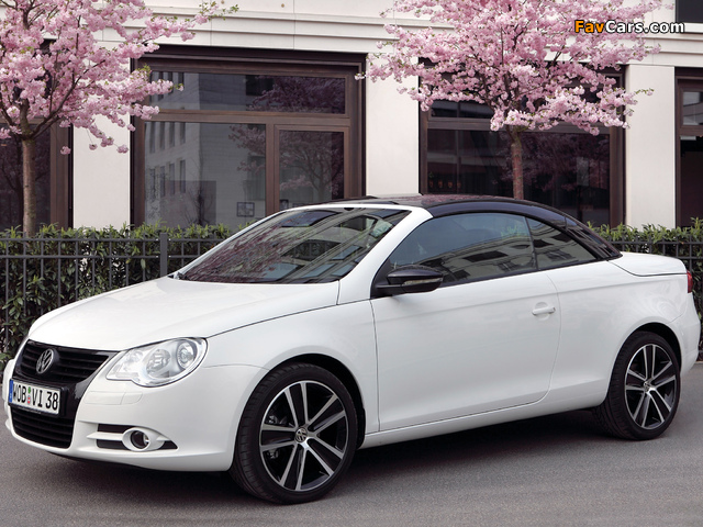 Pictures of Volkswagen Eos White Night 2008 (640 x 480)