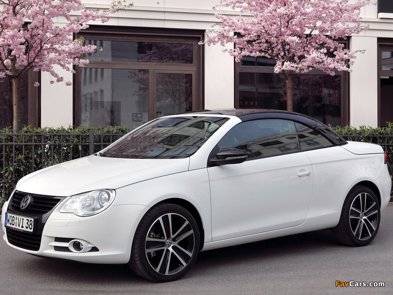 Pictures of Volkswagen Eos White Night 2008 (800 x 600)