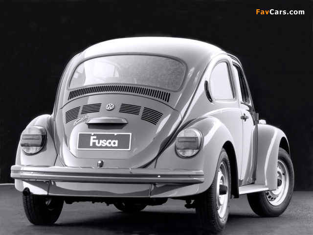 Volkswagen Fusca 1993–96 images (640 x 480)
