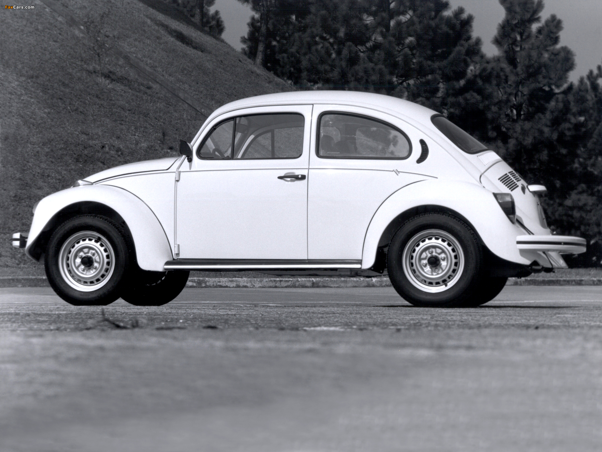Volkswagen Fusca 1993–96 pictures (2048 x 1536)